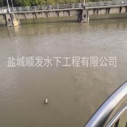 大同水下摄影